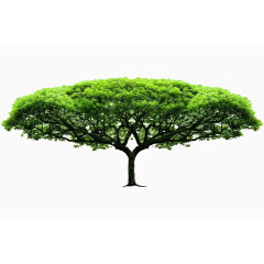 特殊造型绿色树木植树节元素