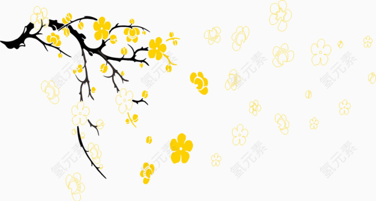 黄花树枝
