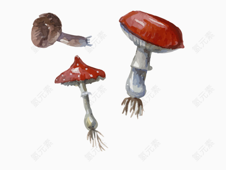 蘑菇水彩卡通矢量素材