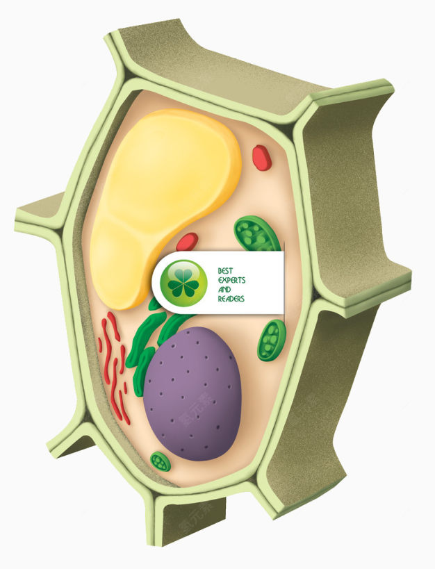 细胞设计图下载
