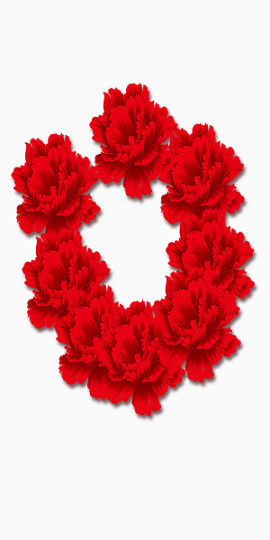 红色花朵花环元素