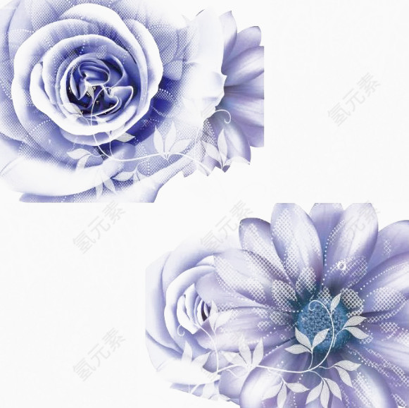 两朵浅紫色鲜花