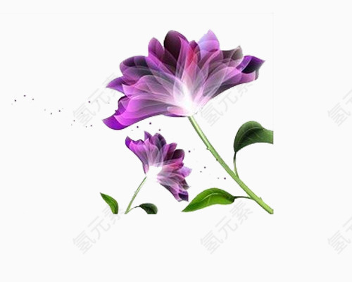 紫色花瓣免抠