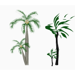 椰子树平面图
