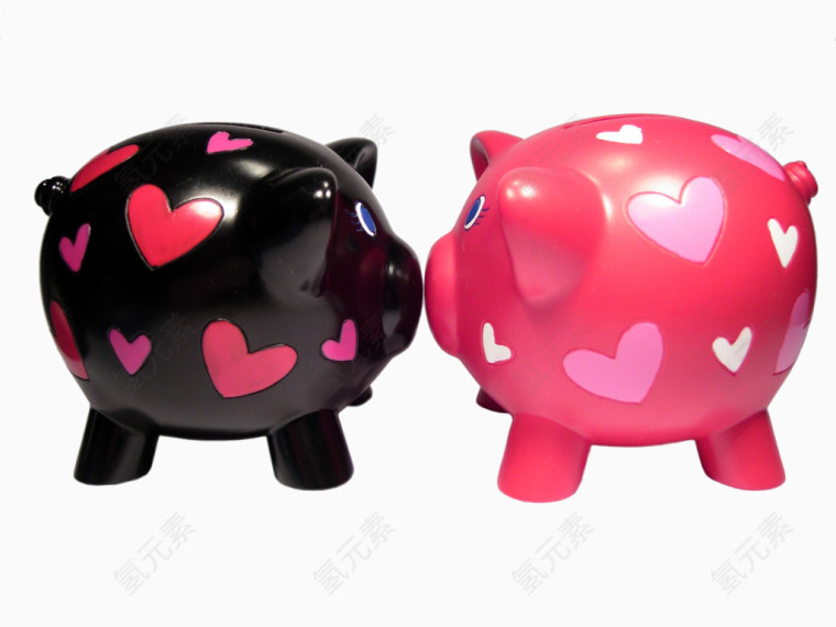 粉红和黑色的猪