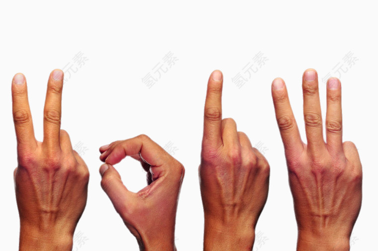 四种手势的手