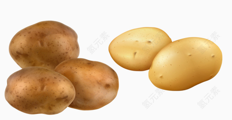矢量土豆