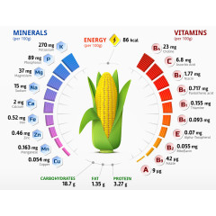 卡通玉米营养元素图