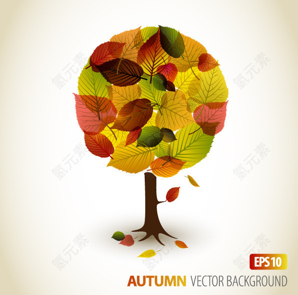 秋天一棵树的叶子