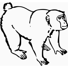 手绘的猴子