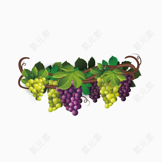 美味的葡萄