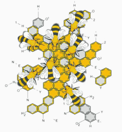 蜜蜂与化学方程式下载