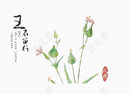 中国风花草王不留行免扣素材