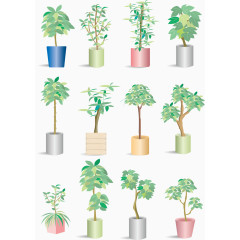 室内植物发财树矢量图