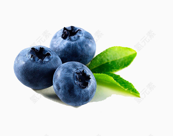 静物水彩画蓝莓