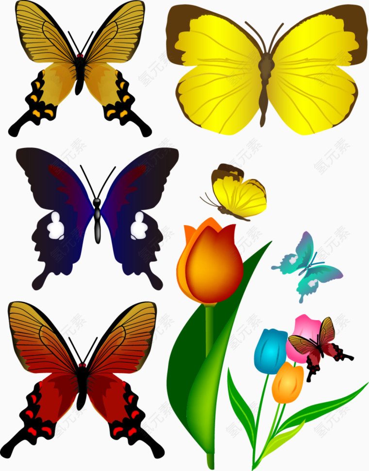 各种彩色蝴蝶矢量素材
