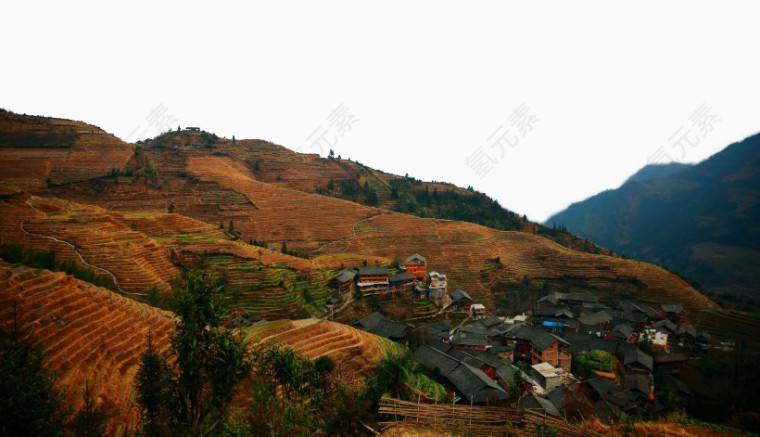 西龙脊梯田风景