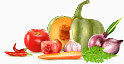 蔬菜水果集合矢量