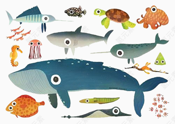 海洋鱼类生物