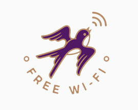 燕子与WIFI