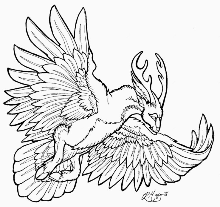 鹦鹉中国风插画手绘线条下载