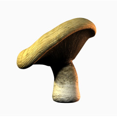 金色蘑菇