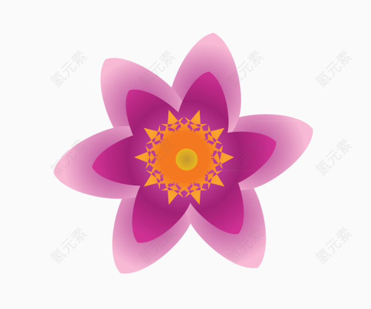 紫红色六角形花朵