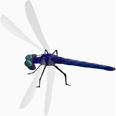 蓝色飞行的蜻蜓