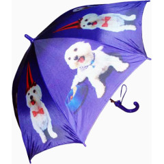 白狗雨伞