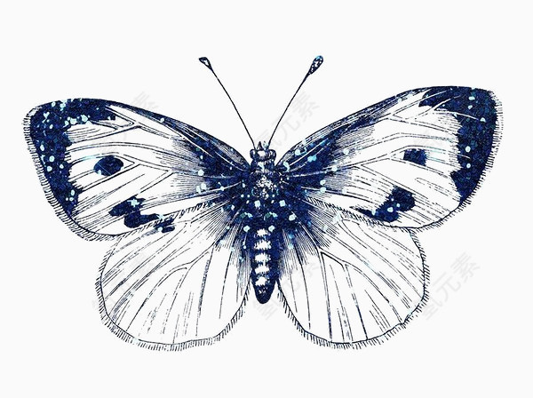 蓝色蝴蝶机翅膀纹理