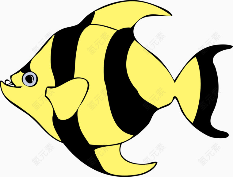 黄黑相间的热带鱼