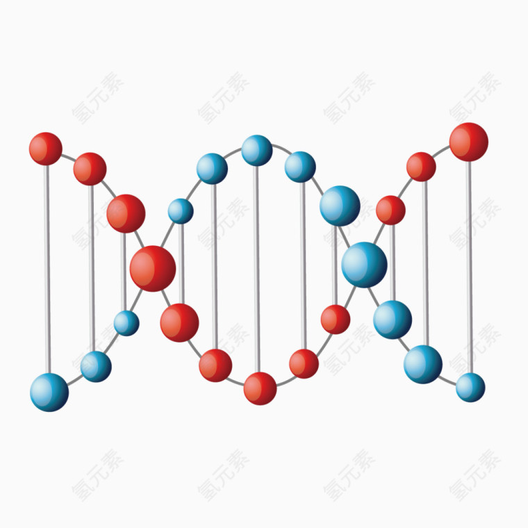 矢量DNA