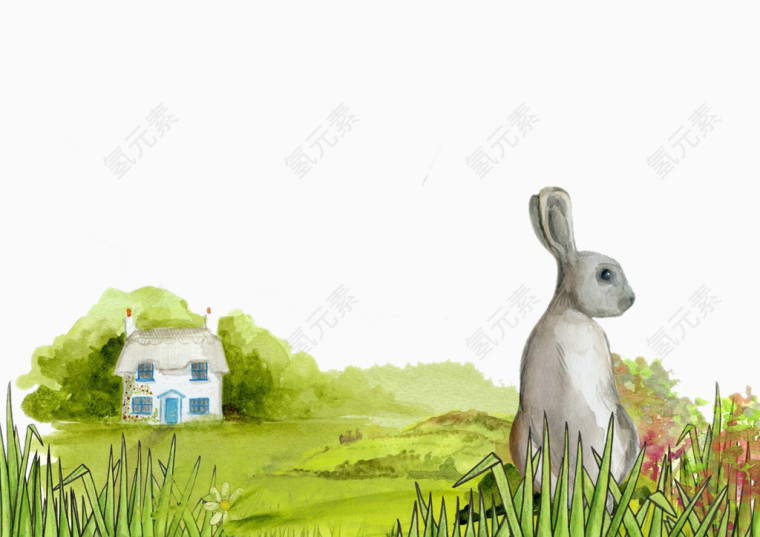 草原野兔