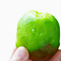 绿色果肉的猕猴桃