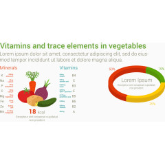 蔬菜维生素和微量元素矢量分析