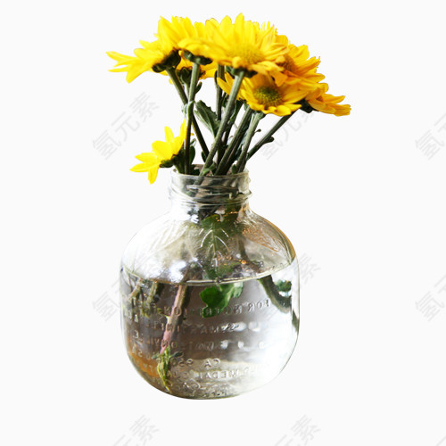 简易花瓶里的黄花