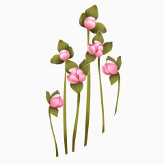 粉红色植物