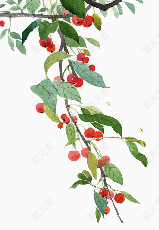 红果子树木