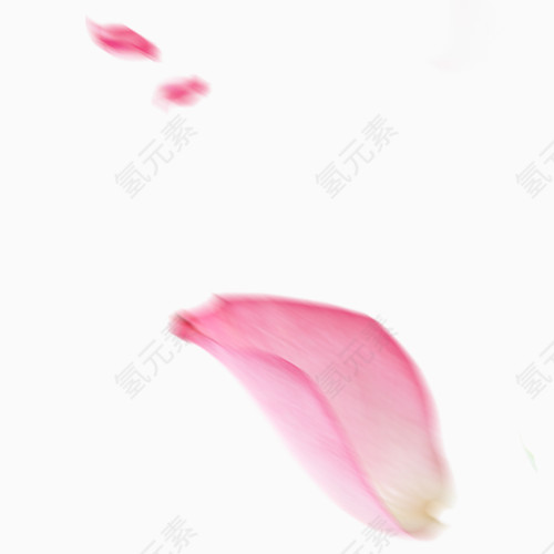 粉色花朵漂浮素材