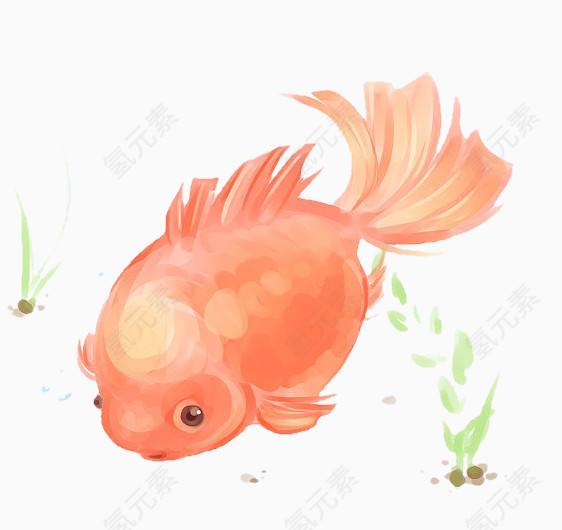 水彩红色金鱼免抠素材