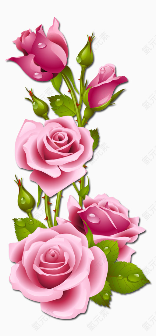 玫瑰粉色花手绘