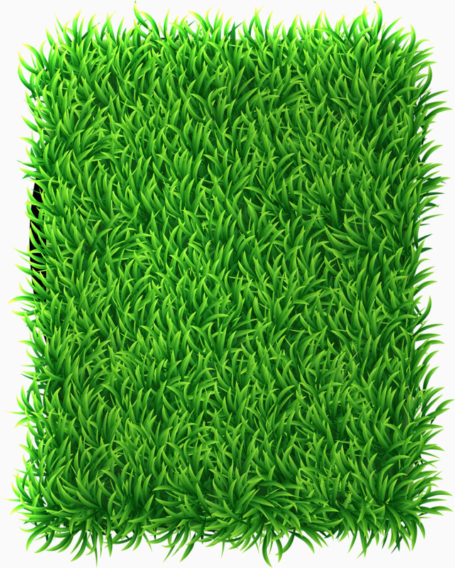 绿色方草坪