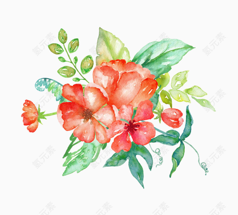 红色花卉