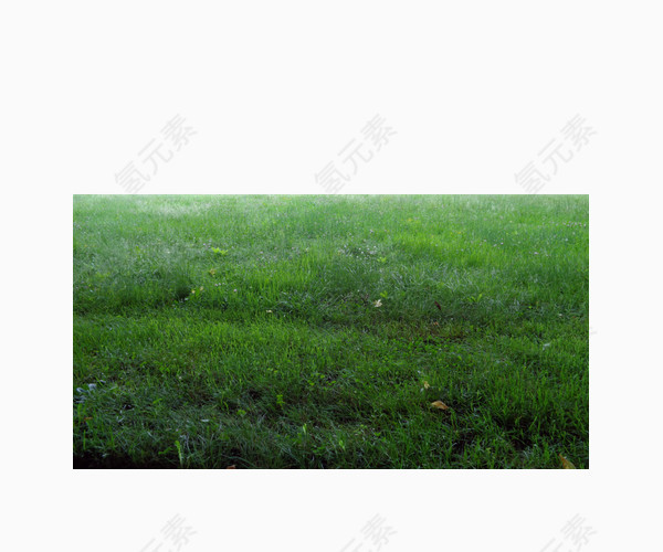 绿色草坪草地背景图案