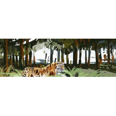 芭蕉森林和老虎