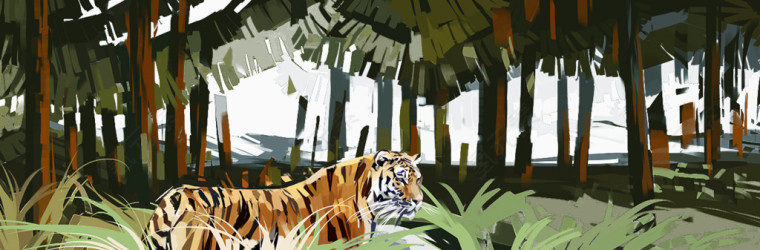 芭蕉森林和老虎