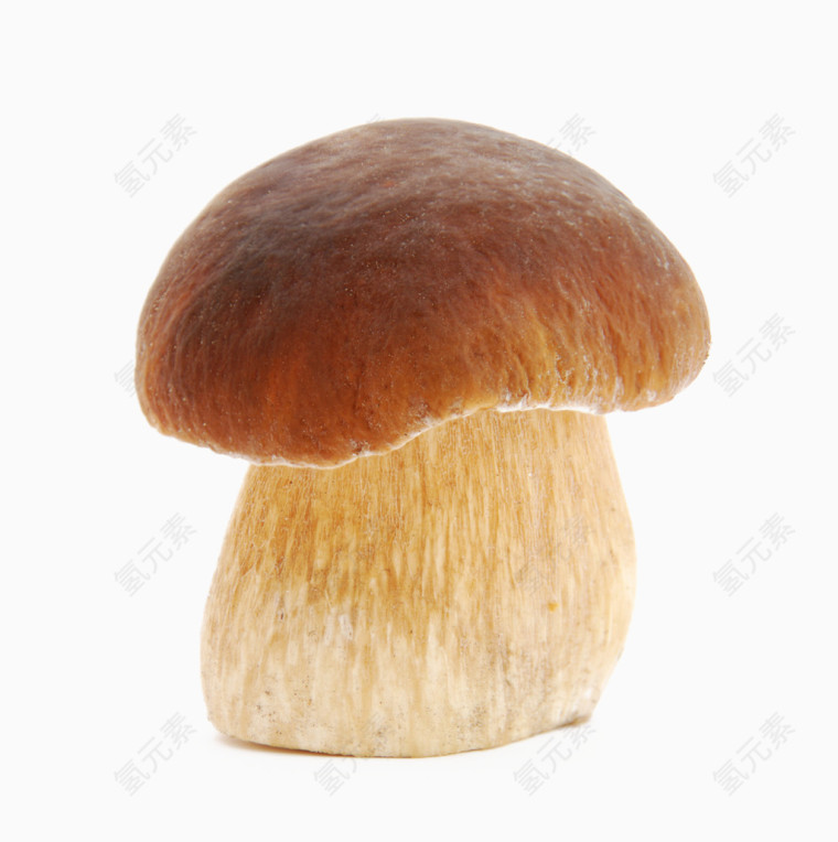 一颗蘑菇