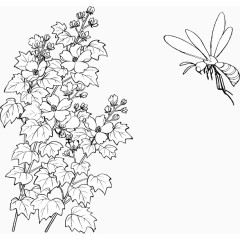 线描植物花朵