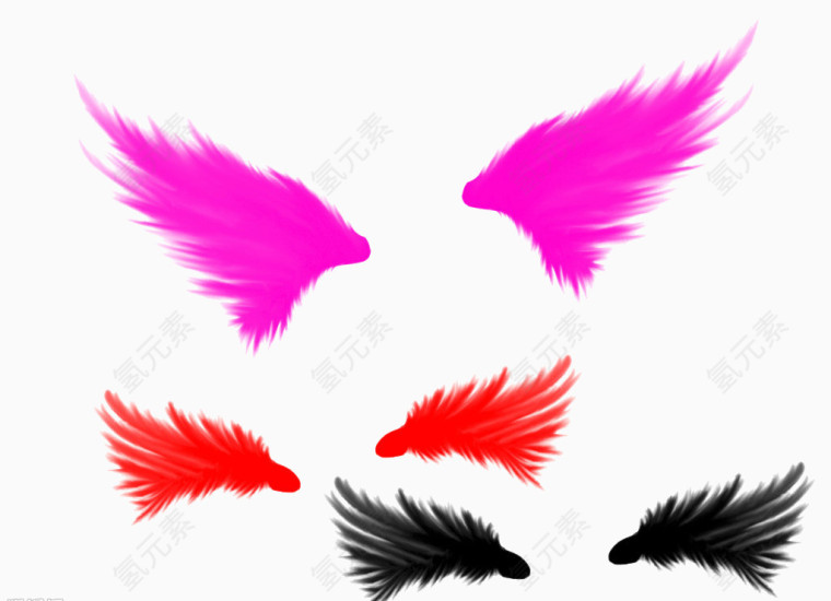 粉红黑彩色背景羽毛