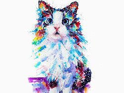 水粉画的猫